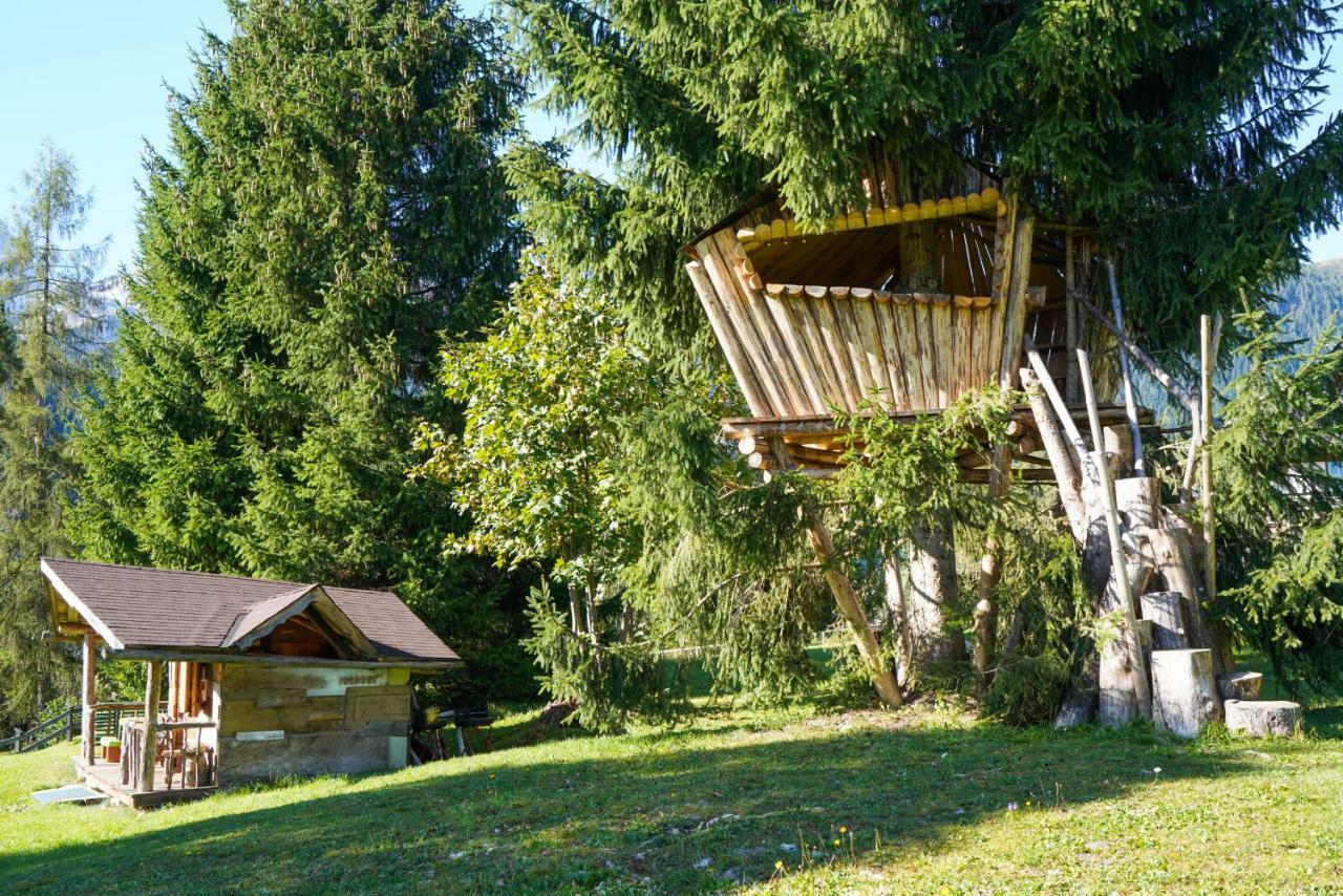 Tana Del Picchio Apartment Falcade Exterior photo